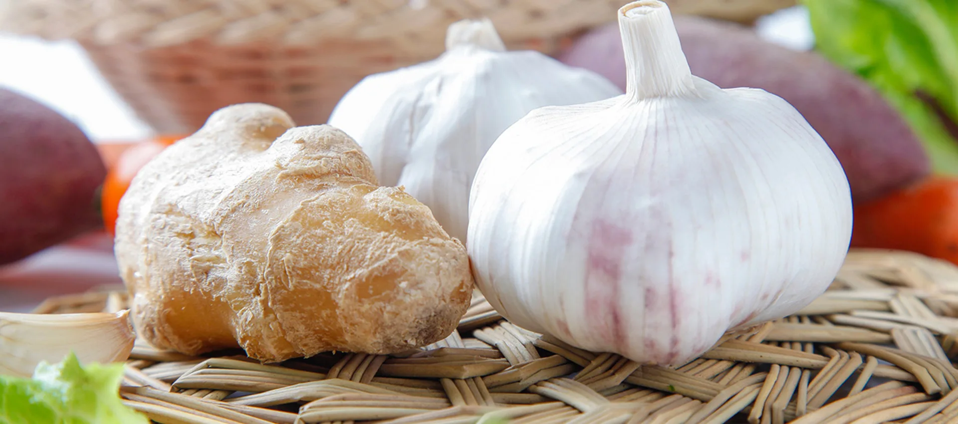 Cina borongan Premium Bawang bodas seger