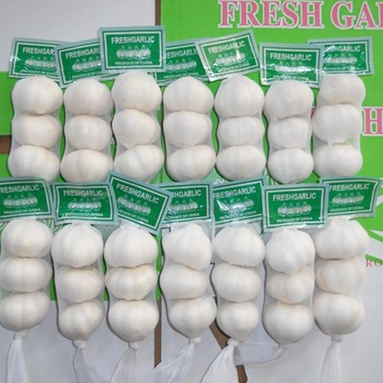Naha Bawang Putih Segar Premium mangrupikeun Pilihan Anu Dipikaresep pikeun Pembeli Sadar Kualitas?