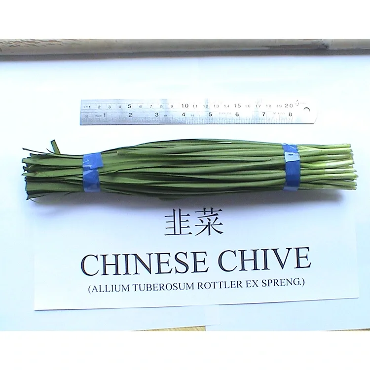 Naha Ladang seger Cina Chives loba dipaké dina masakan Asia?