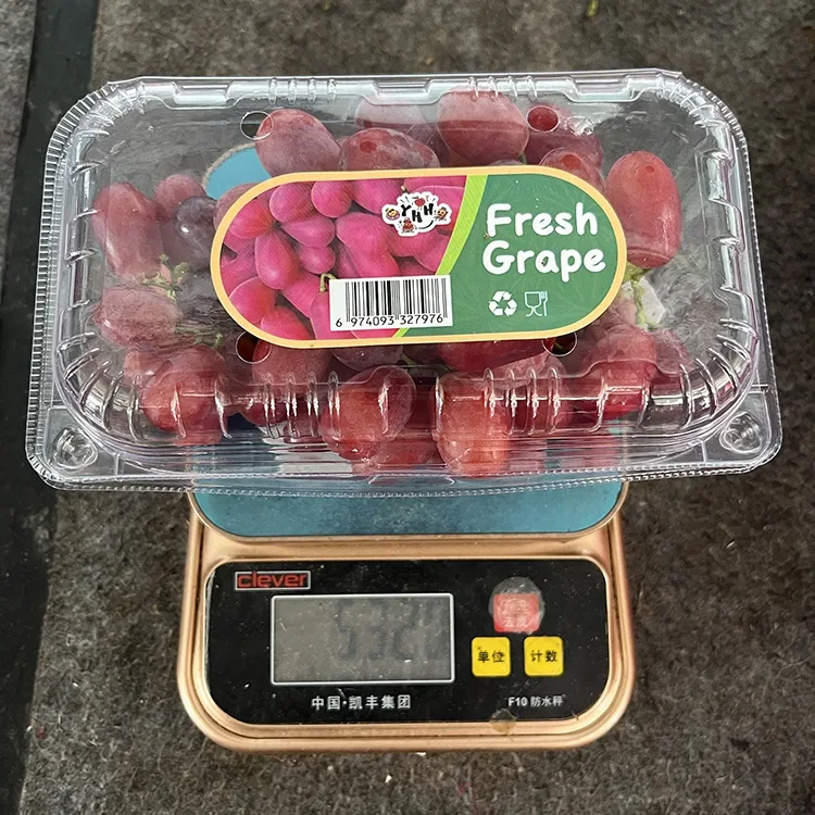 Ékspor Kelas Layung Seedless Anggur