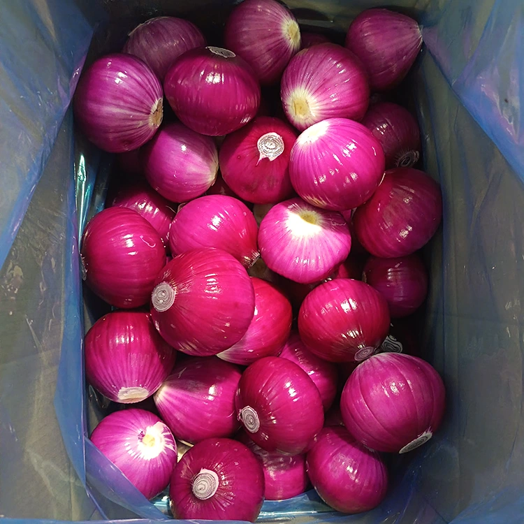 Kualitas luhur Bawang Peeled