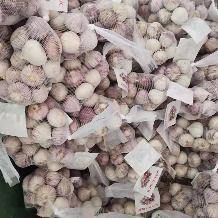 Kualitas luhur Bawang bodas cengkéh tunggal