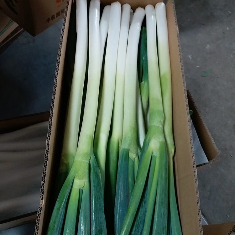 Bawang Héjo Tumuwuh Alami