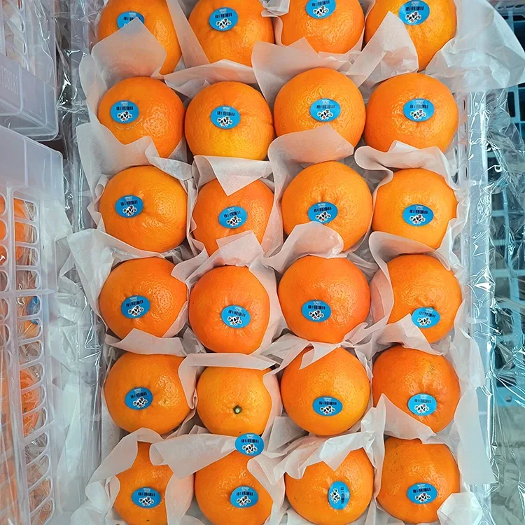Premium seger Sweet Wogan Mandarins