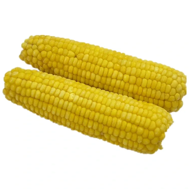 Premium beku Jagung Manis