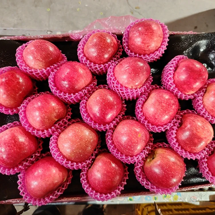 Apel Jiguan seger punjul